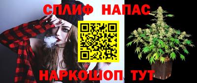 PSILOCYBIN Бугуруслан