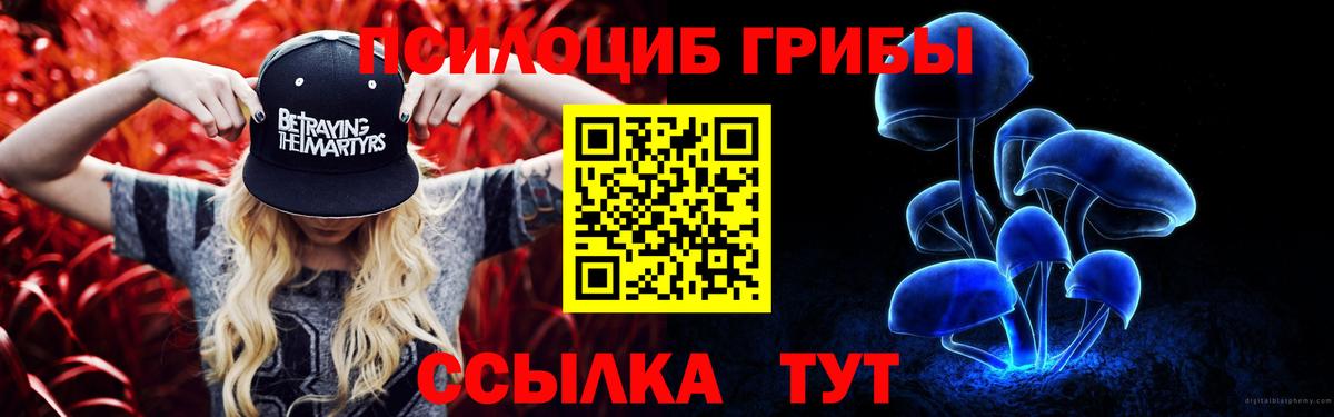Галлюциногенные грибы GOLDEN TEACHER Рыбинск